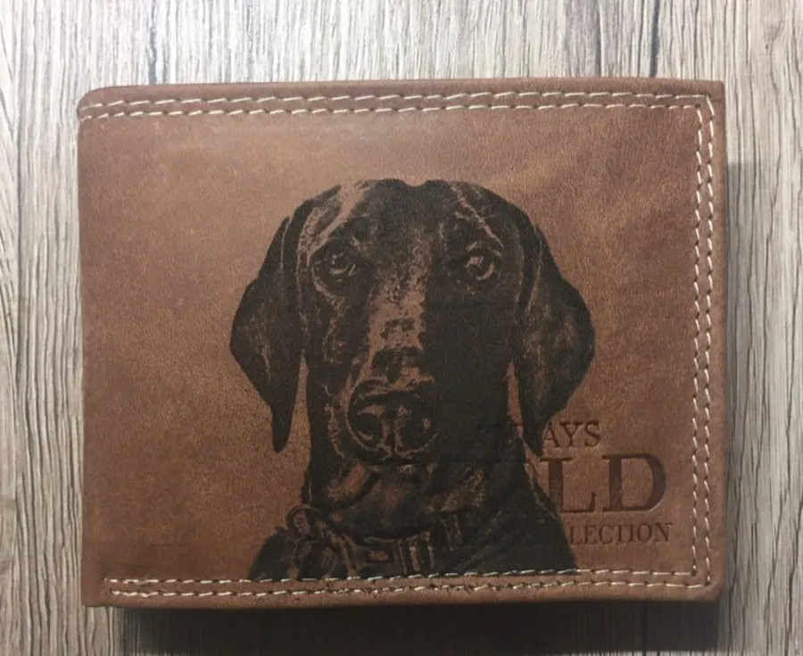 Gravírozott Psie referencia