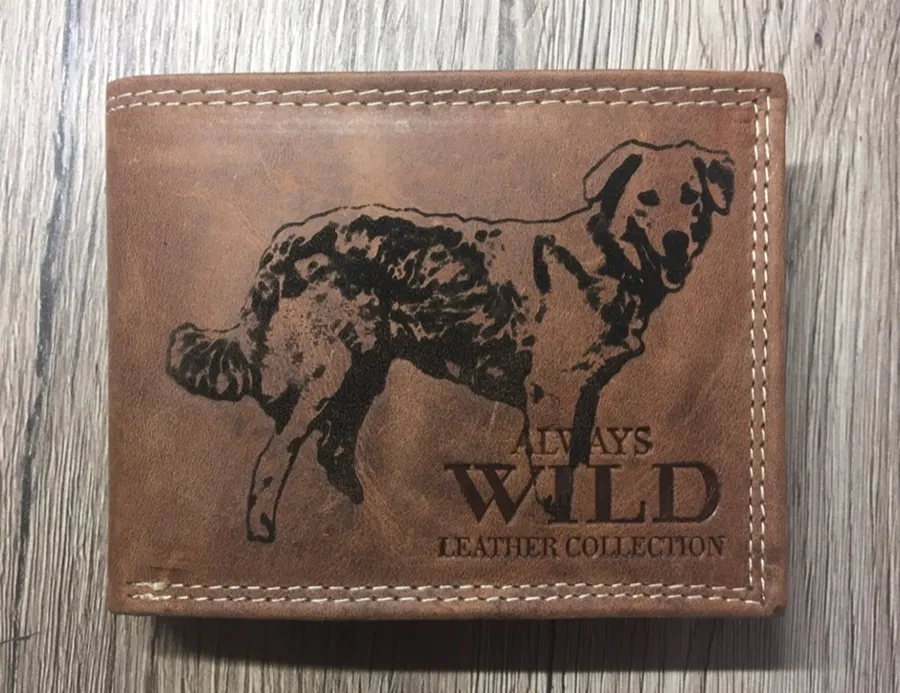 Gravírozott Psie referencia